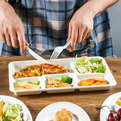 5 Compartment Bagasse Plate Tray of 25 | Eco-Friendly Bagasse Food Tray for Meals & Catering