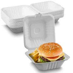 5 × 5 Inch Burger Box | Eco-Friendly Biodegradable Clamshell Food Container with Lid